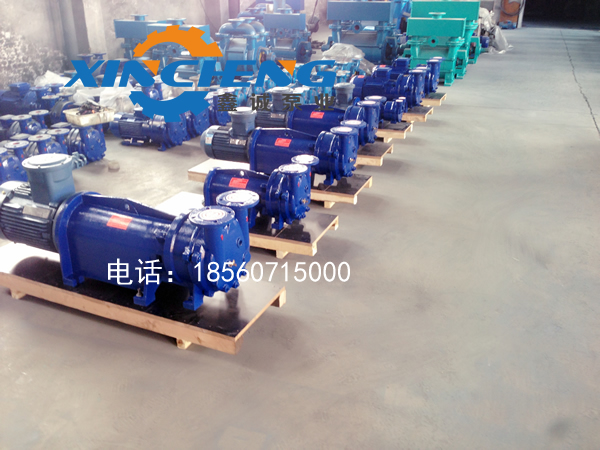 2bv6系列水環真空泵